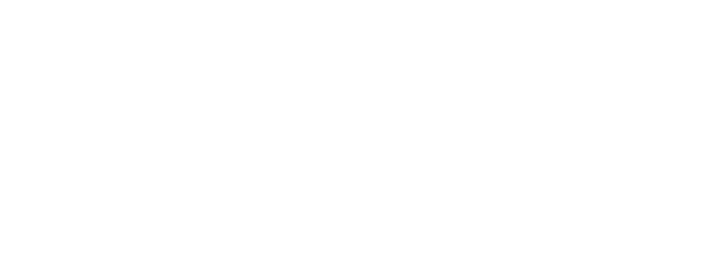 Hollywoodbets South Africa logo